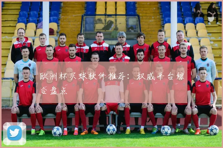 欧洲杯买球软件推荐:权威平台综合盘点