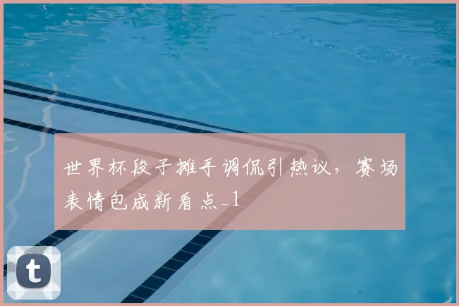 世界杯段子摊手调侃引热议,赛场表情包成新看点_1
