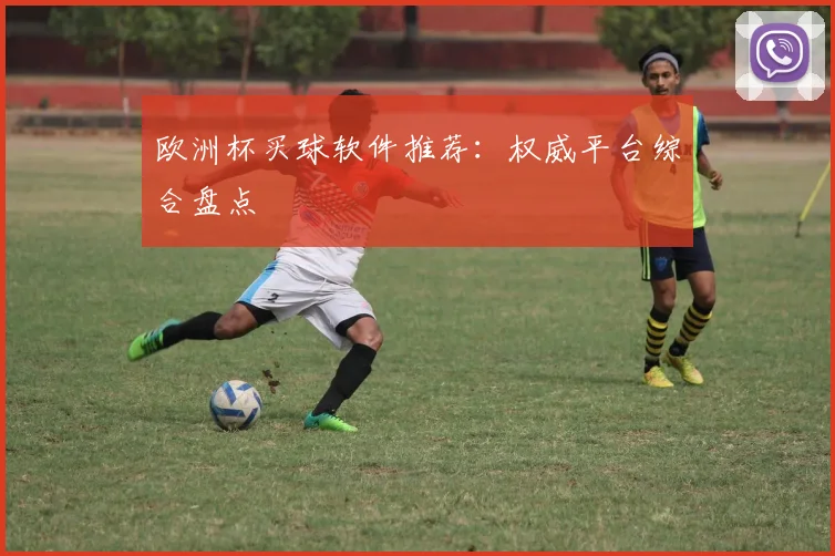 欧洲杯买球软件推荐:权威平台综合盘点