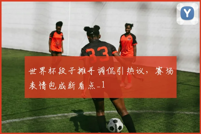 世界杯段子摊手调侃引热议,赛场表情包成新看点_1